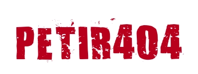 Petir404 logo