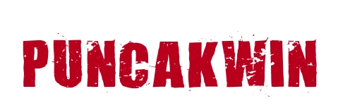 Puncakwin logo